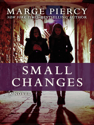 cover image of Small Changes